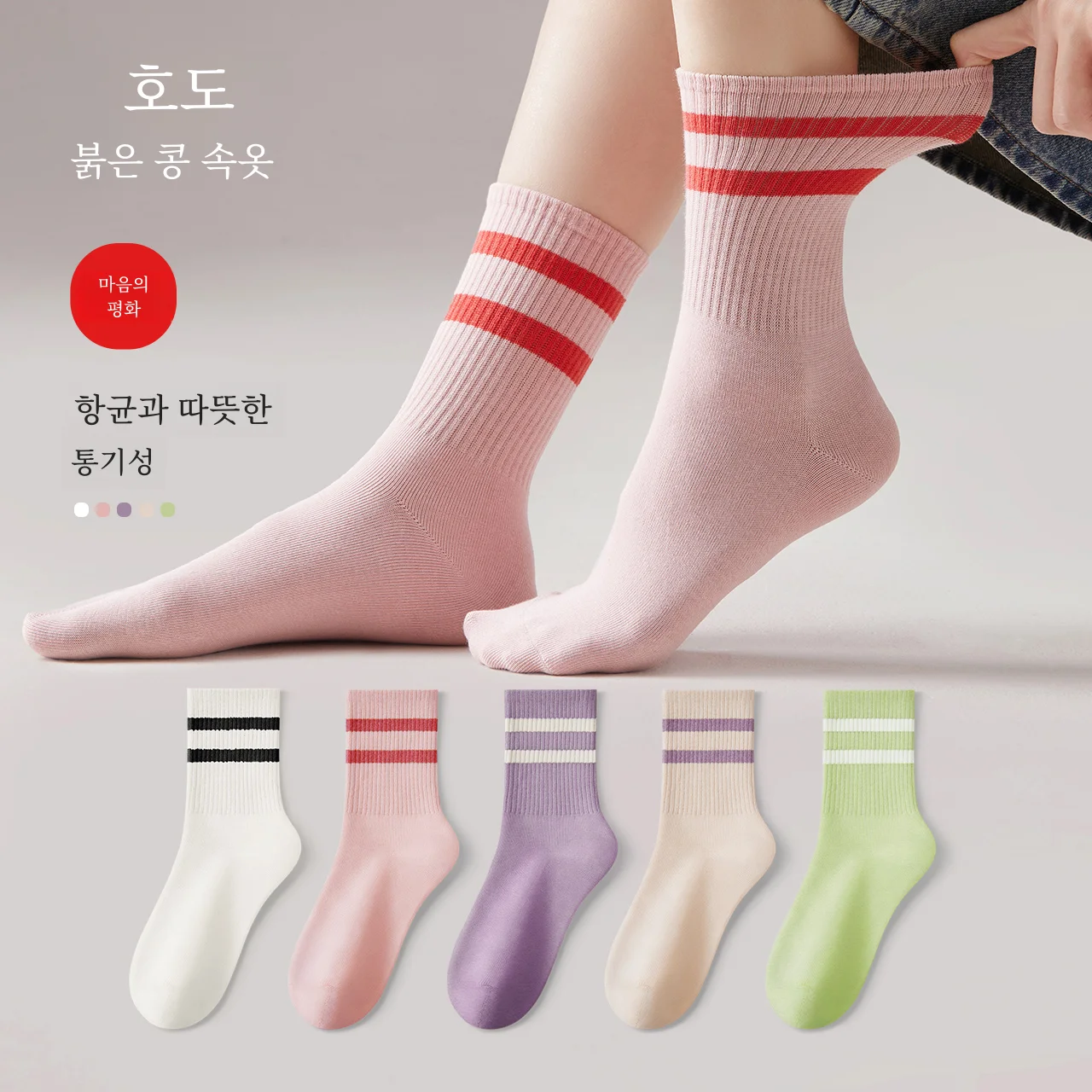  ߹ ۾ 縻 ٹ ױ  /ܿ ⺻ ̾  äο  縻 5  Ʈ